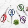 Cangshan Set Tijeras de Cocina 4 Piezas