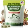 Reverb Mushroom Gummies Complejo 16 en 1 Gomitas de Hongos Funcionales Frambuesa 90 Unidades