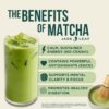 Jade Leaf Matcha Juego de Inicio Tradicional Japonés