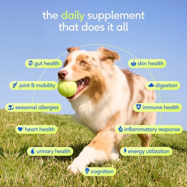 Native Pet The Daily 11 en 1 Vitaminas y Suplemento en Polvo para Perros 198g