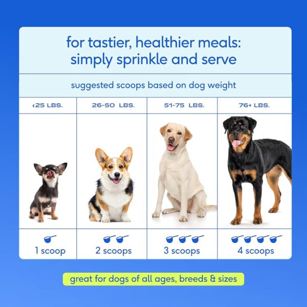 Native Pet The Daily 11 en 1 Vitaminas y Suplemento en Polvo para Perros 198g