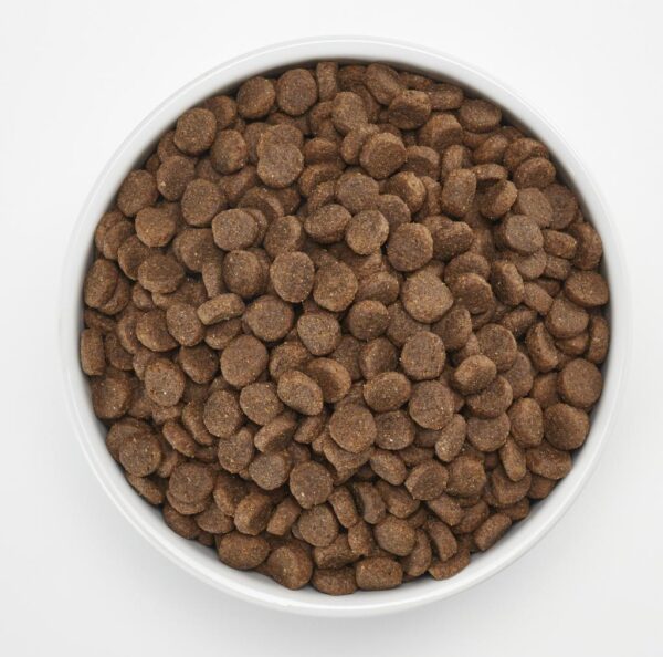 Member's Selection Comida para Perro Fórmula de Salmón y Arroz 13.6 kg / 30 lb