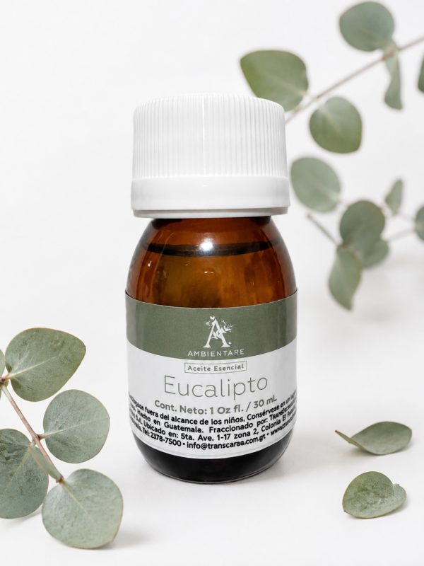 Aceite Esencial de Eucalipto Ambientare 30 ml